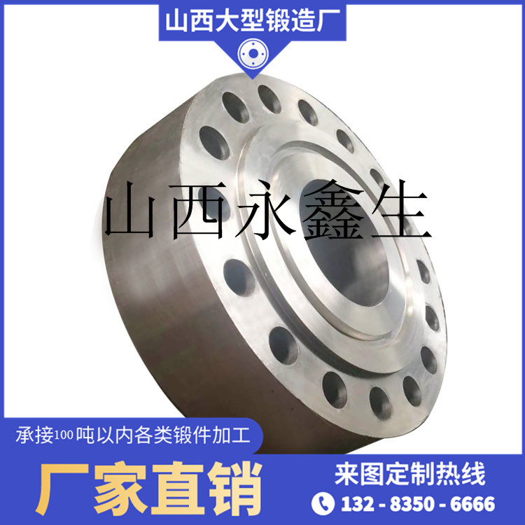 大尺寸法蘭鍛件